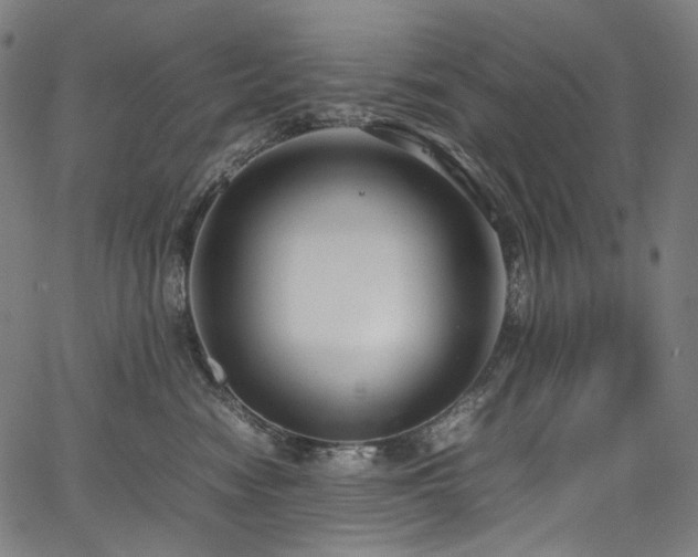 X0000067400474200603311328