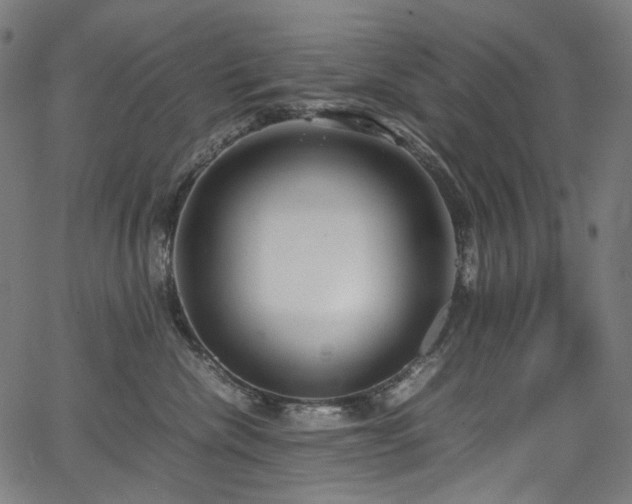 X0000067400476200603311328