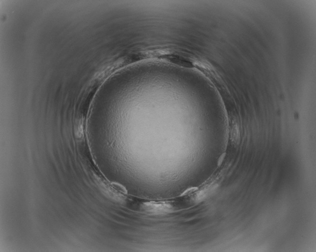X0000067400477200603311329