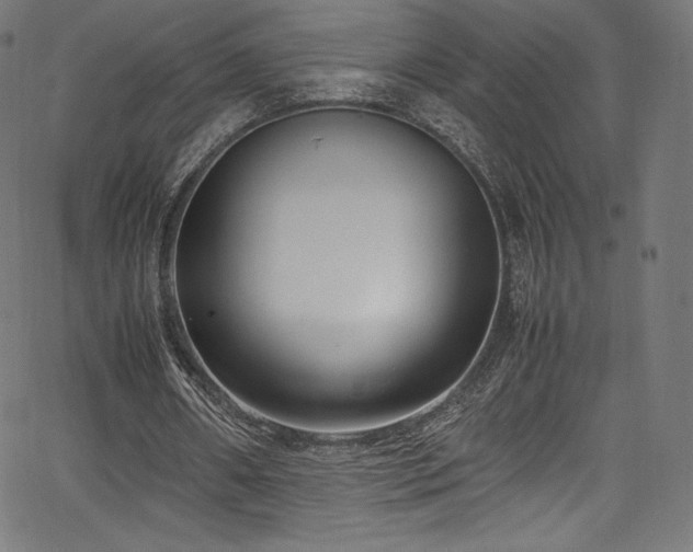 X0000067400482200603311328