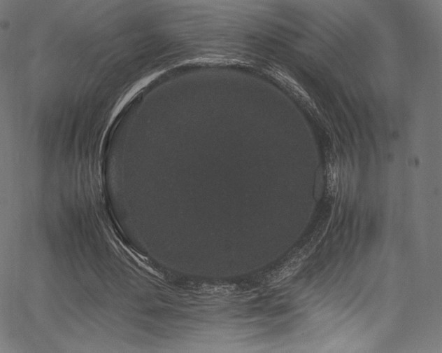 X0000067400484200603311328