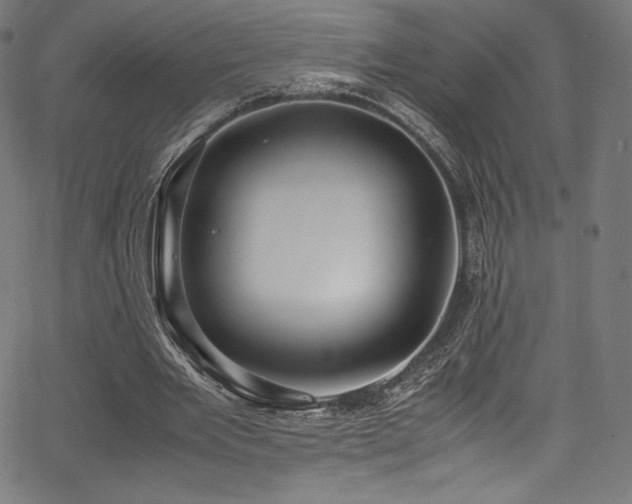 X0000067400485200603311328