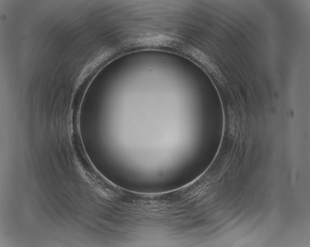 X0000067400486200603311328