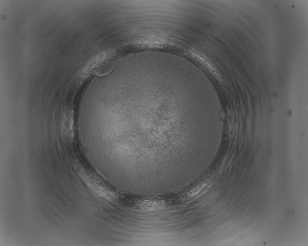 X0000067400494200603311327