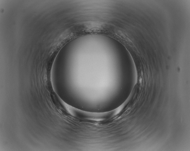 X0000067400508200603311327