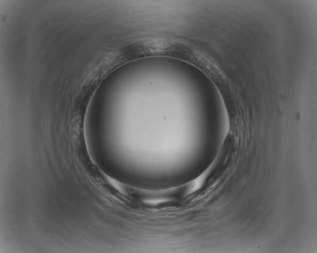 X0000067400509200603311327