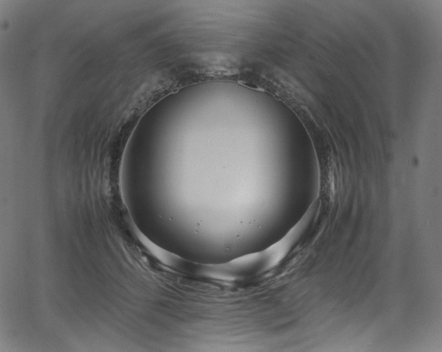 X0000067400512200603311327