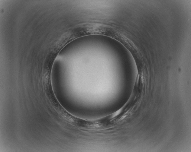 X0000067400513200603311327