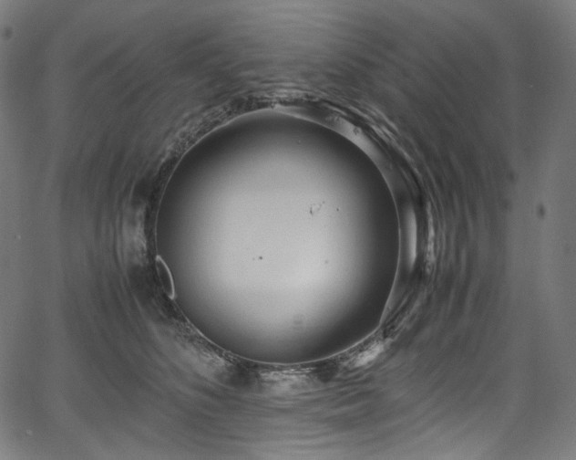 X0000067400516200603311327