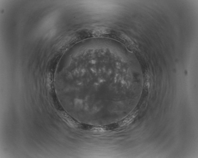 X0000067400519200603311327