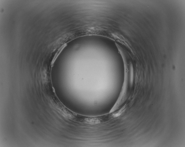 X0000067400520200603311327
