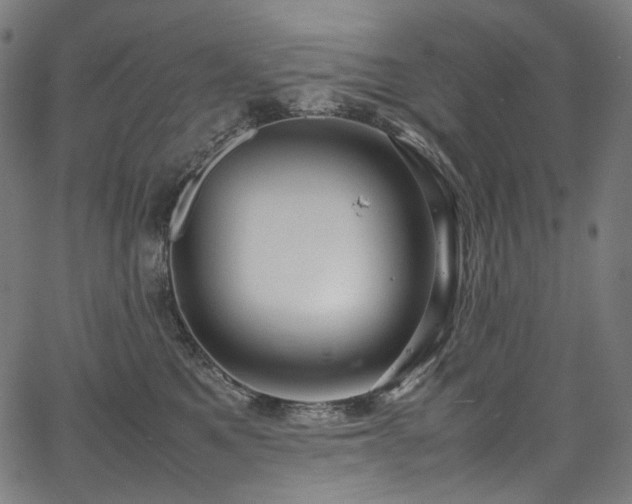 X0000067400521200603311327