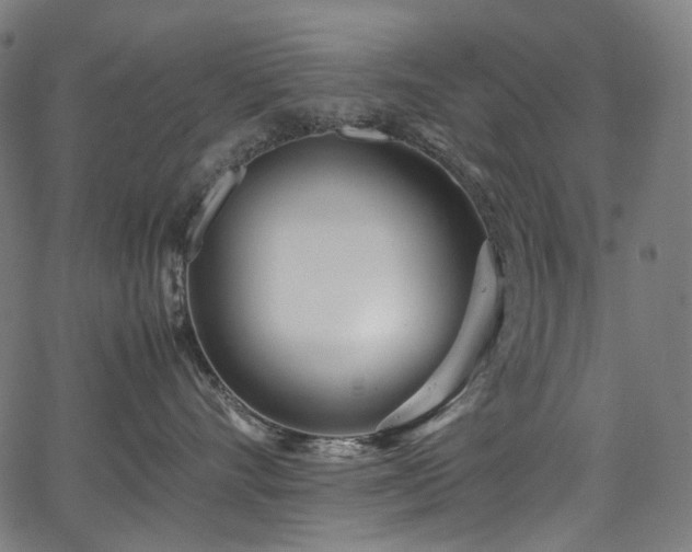 X0000067400528200603311327