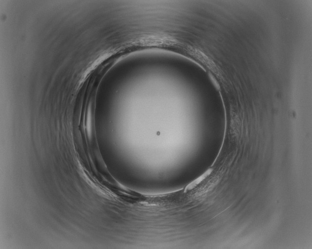 X0000067400530200603311326