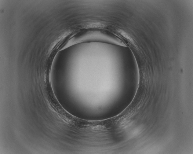 X0000067400539200603311326