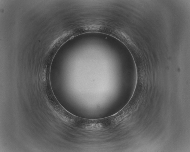 X0000067400543200603311326