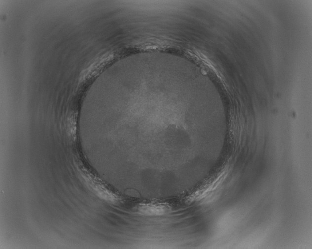 X0000067400545200603311326