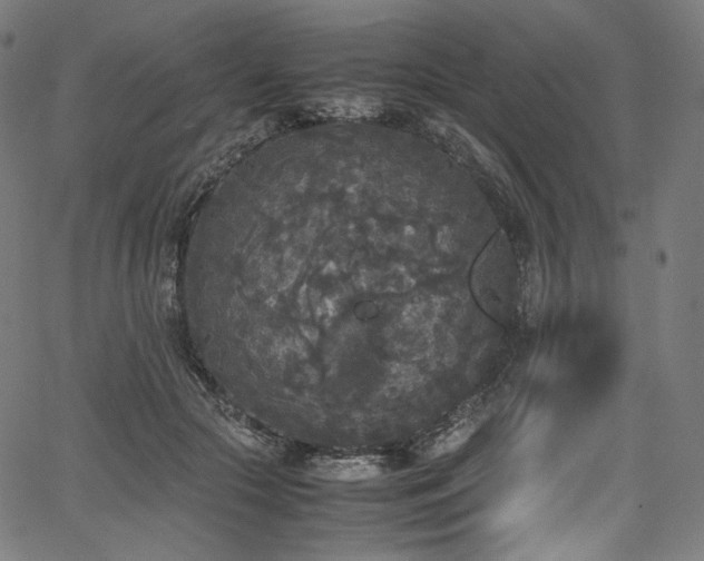 X0000067400553200603311327