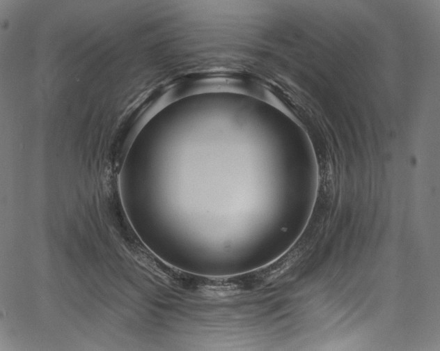 X0000067400556200603311327