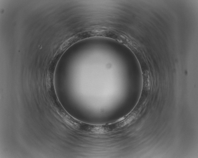 X0000067400562200603311327