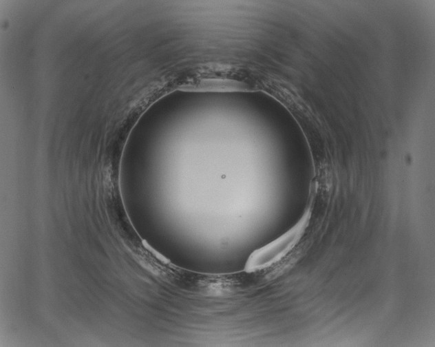 X0000067400564200603311327