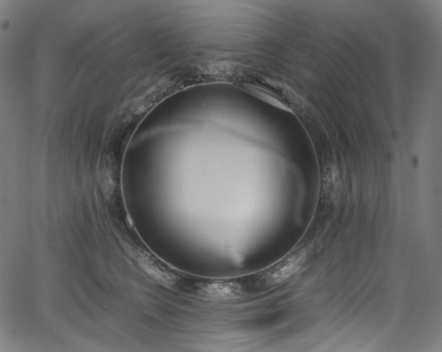 X0000067400566200603311327