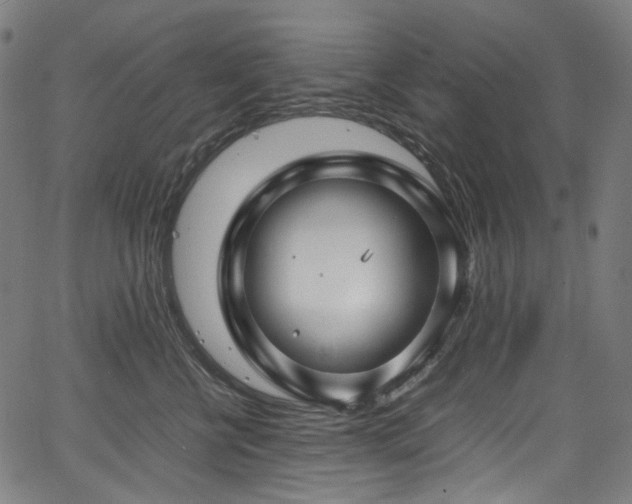 X0000067400570200603311327