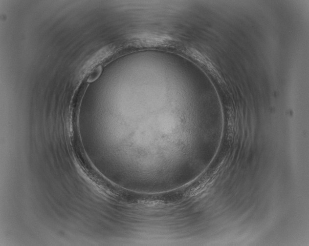 X0000067400582200603311326