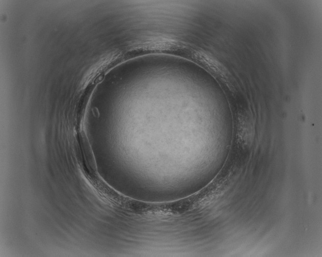 X0000067400586200603311326