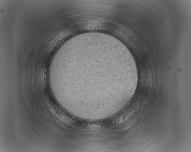 X0000067400592200603311326