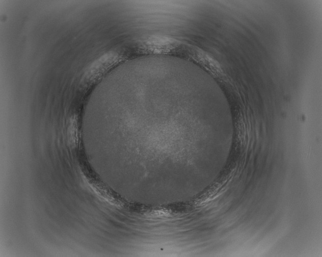 X0000067400594200603311326