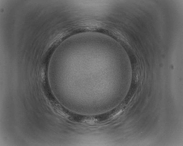 X0000067400595200603311326