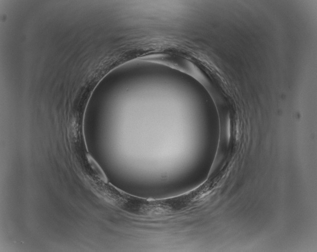 X0000067400597200603311326