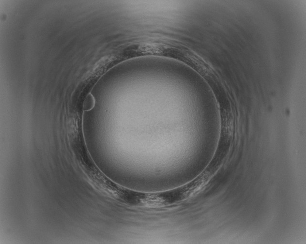 X0000067400603200603311326