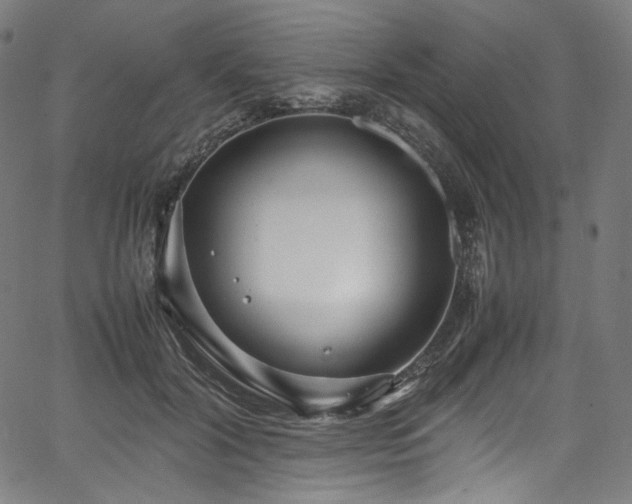 X0000067400604200603311326