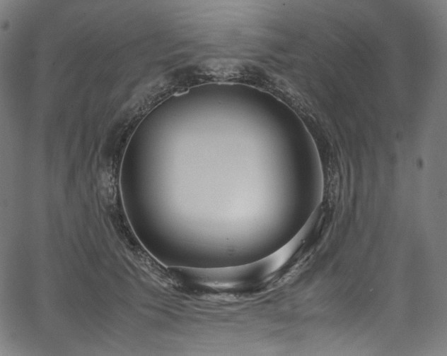 X0000067400609200603311326