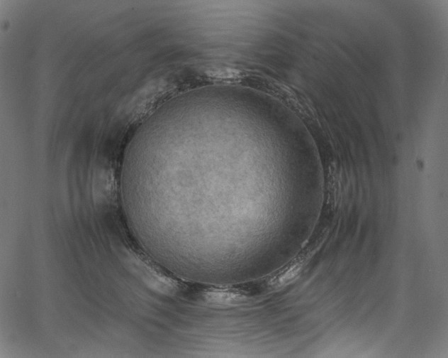 X0000067400614200603311326