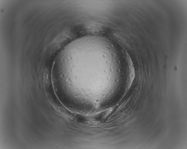 X0000067400615200603311325