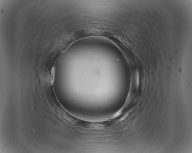 X0000067400617200603311325