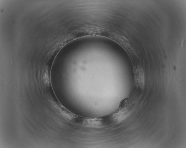 X0000067400622200603311325