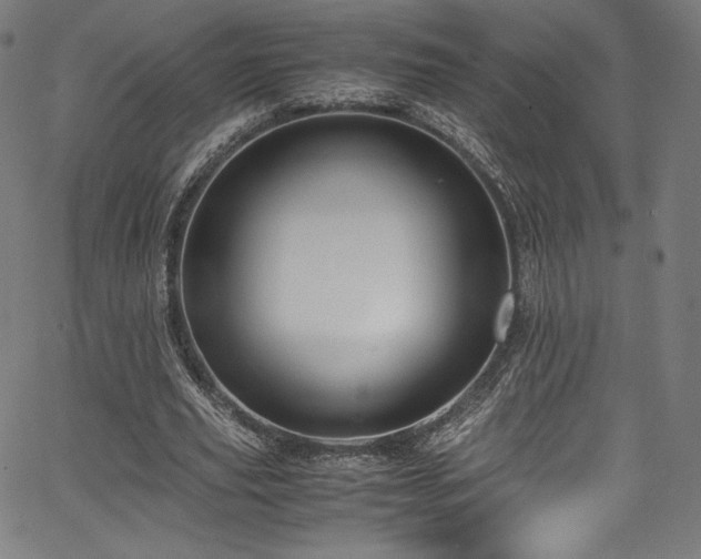 X0000067400629200603311325