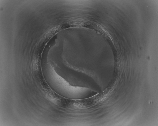 X0000067400641200603311325
