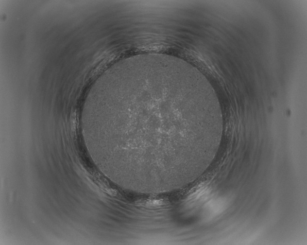 X0000067400647200603311325