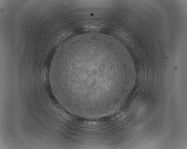 X0000067400649200603311325