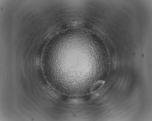 X0000067400657200603311325