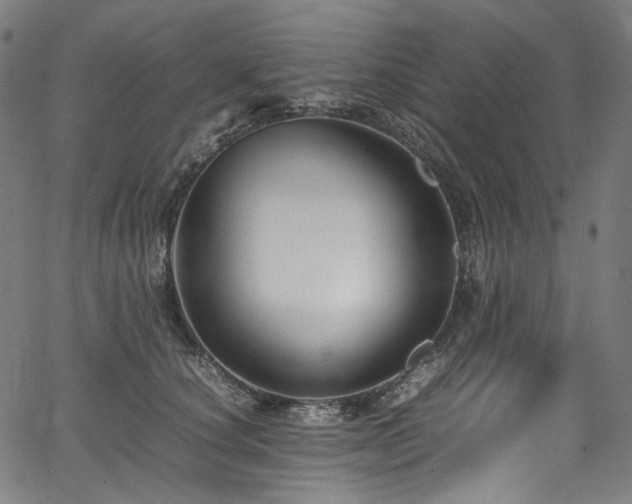 X0000067400660200603311325