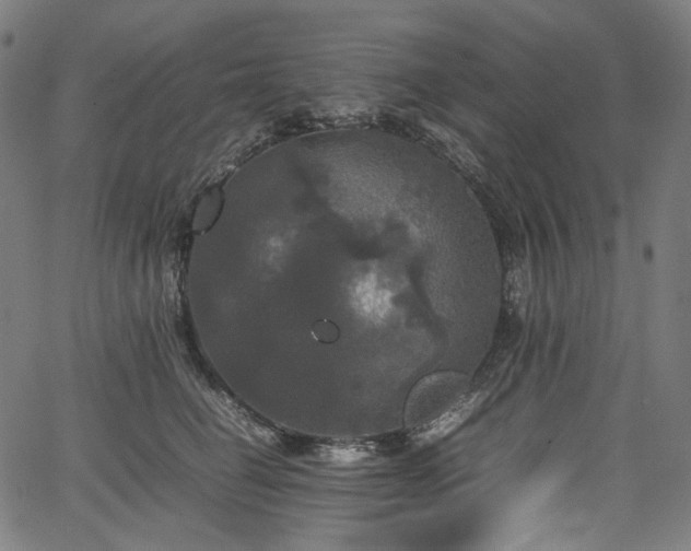 X0000067400662200603311325