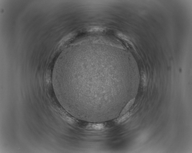 X0000067400665200603311325