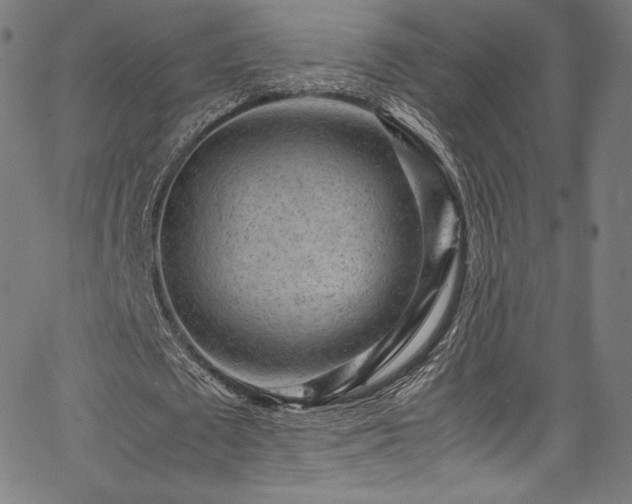 X0000067400673200603311325