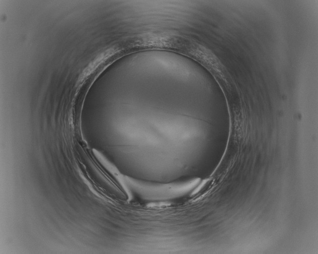 X0000067400674200603311325